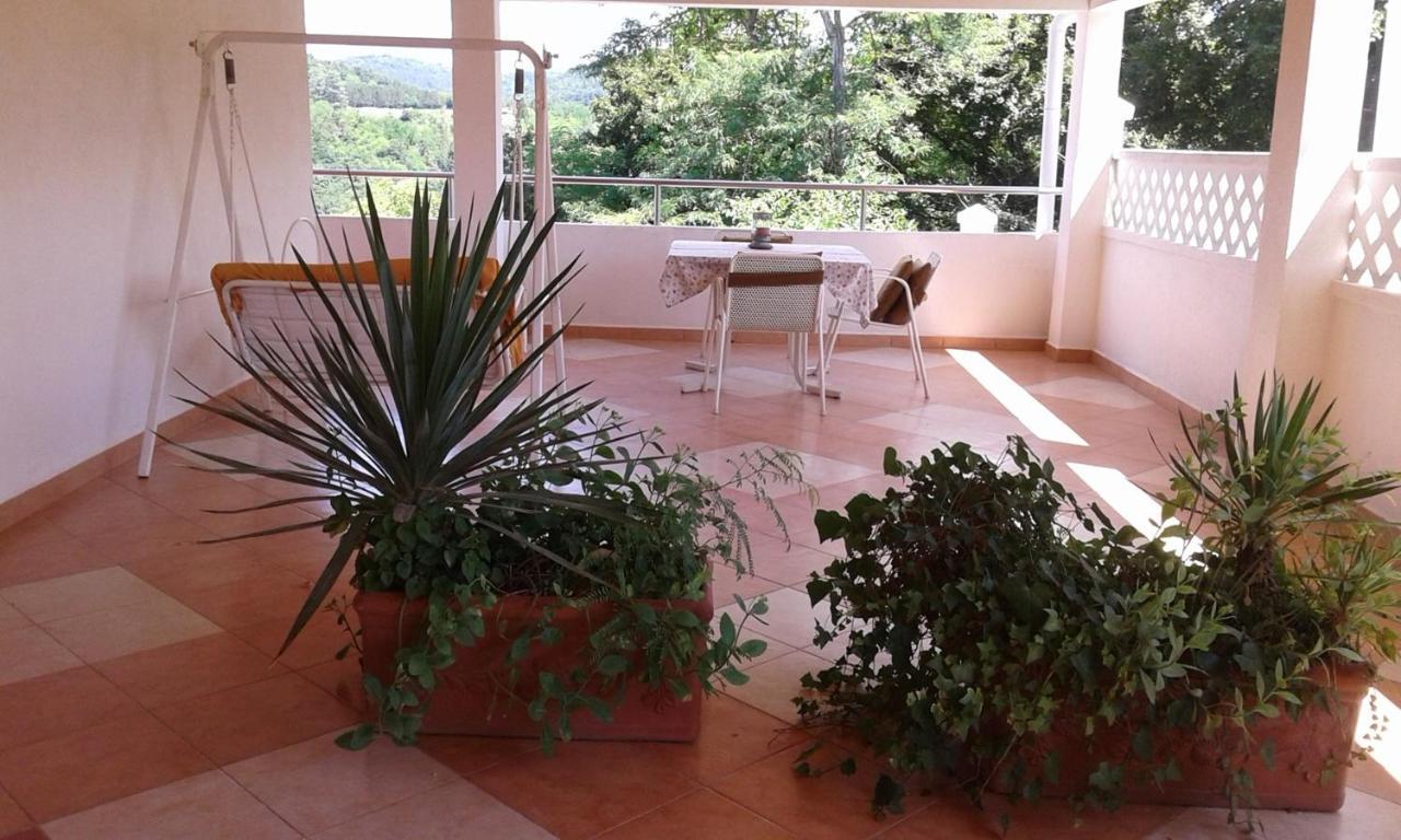 Apartments And Rooms Laura Pazin Extérieur photo